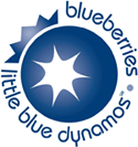 US Highbush Blueberry Council