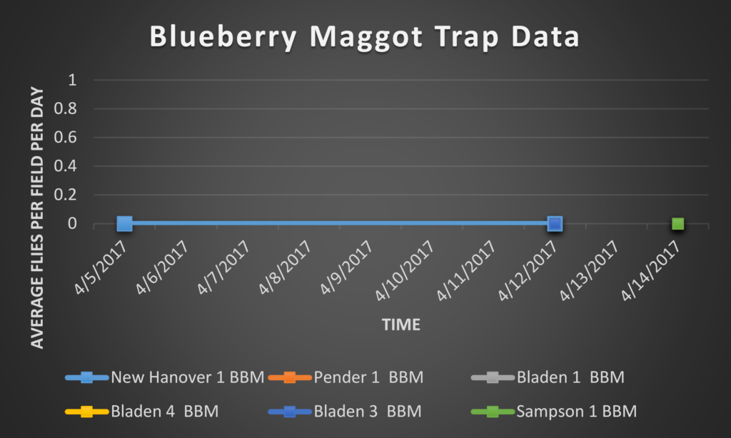 Blueberry Maggot trap data 4/14/17