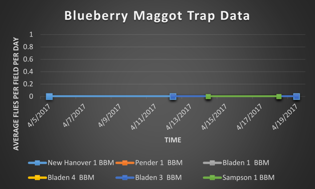Bluebrrry Maggot trap data 4/21/17