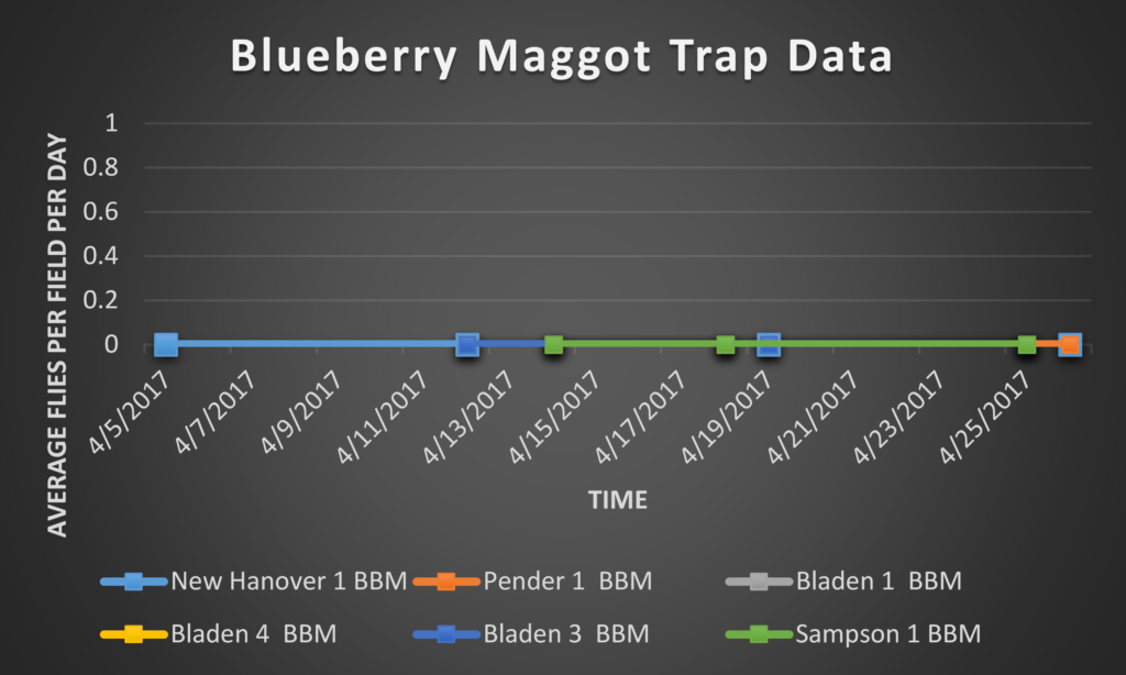 Blueberry Maggot trap data 4/28/17