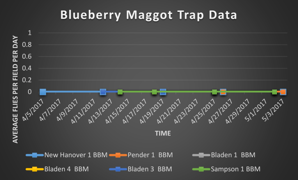 Blueberry Maggot trap data 5/5/17