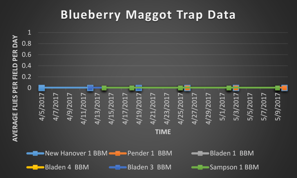 Blueberry Maggot trap data 5/12/17