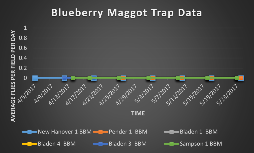 Blueberry Maggot trap data 5/26/17