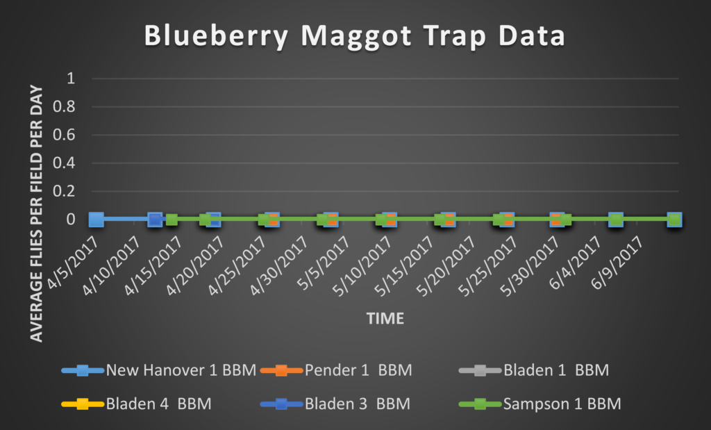 Blueberry Maggot trap data 6/16/17