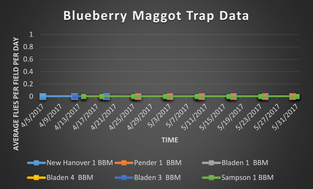 Blueberry Maggot trap data 6/2/17