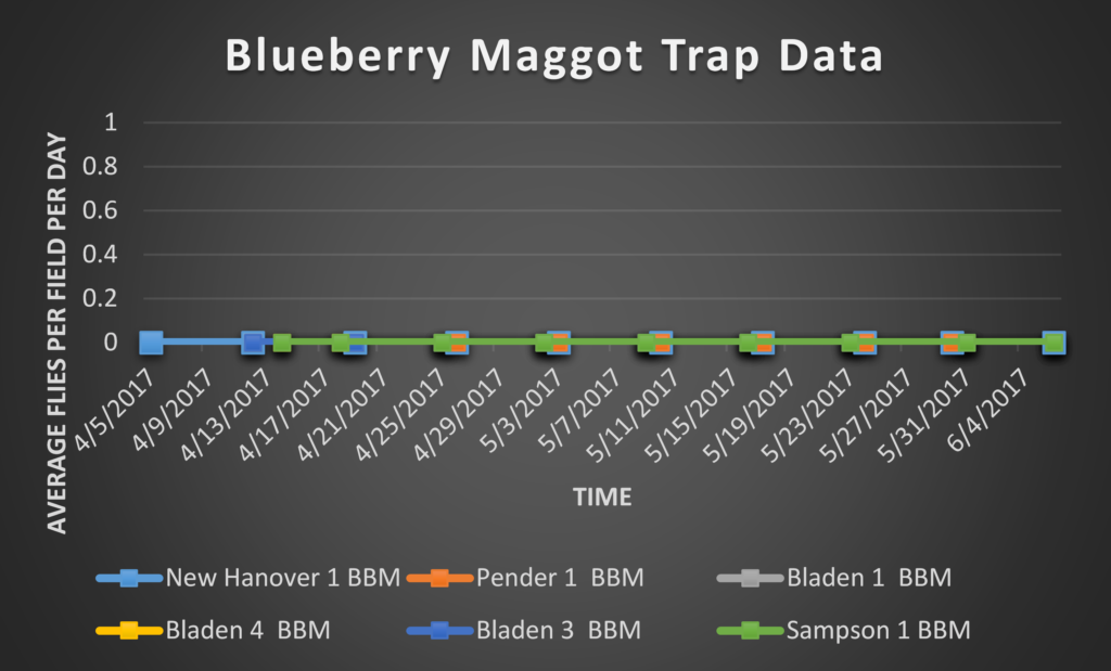 Blueberry Maggot trap data 6/9/17