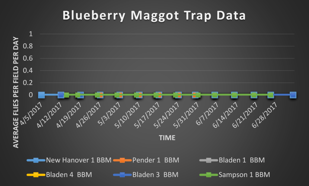 Blueberry Maggot Trap Data 8/4/17