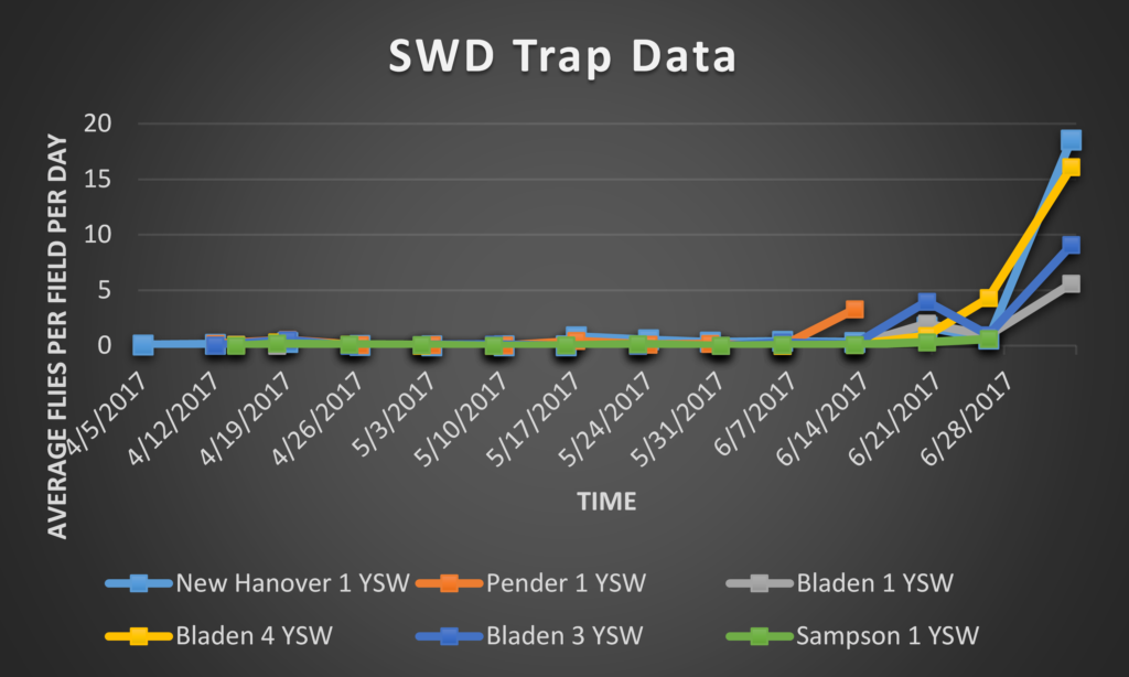 Spotted Wing Drosophila trap data 8/4/17